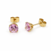 Eternos Acessórios - Brinco Feminino Aço Inox Dourado Ponto De luz Zircônea 6mm