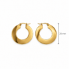 Eternos Acessórios - Brinco Feminino Aço Inox 316L Dourado Argola Achatada