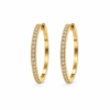 Eternos Acessórios - Brinco Feminino Aço Inox 316L Dourado Argola Cristais Cravejados Eternos Acessórios - Brinco Feminino Aço Inox 316L Dourado Argola Cristais Cravejados
