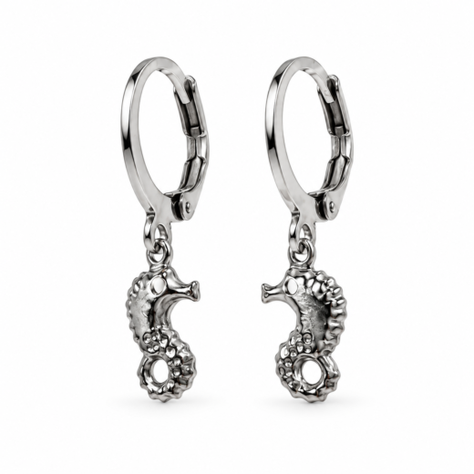 Brinco Feminino Argola Aço Inox Tranqueta Cavalo Marinho